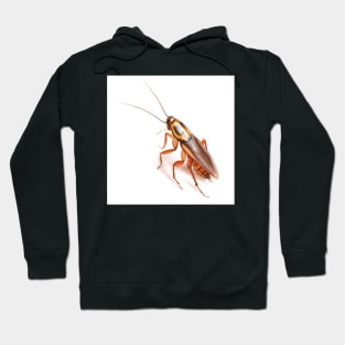 Cockroach Hoodie